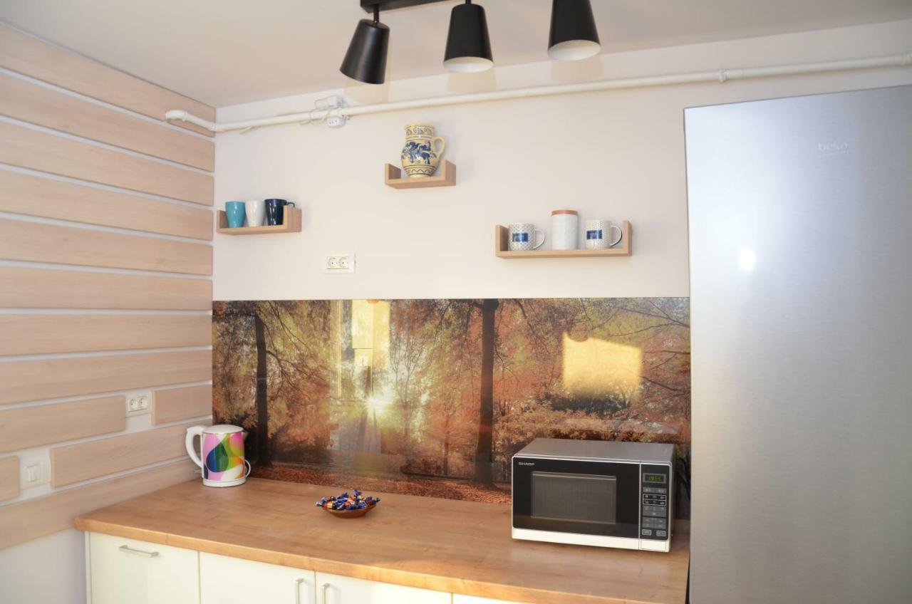 Modern And Cozy Apartment 피테슈티 외부 사진